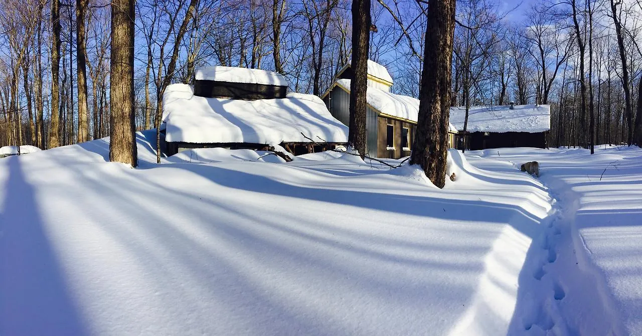 Gite Larguer Les Samares Dans Une Cabane A Sucre Quebec City