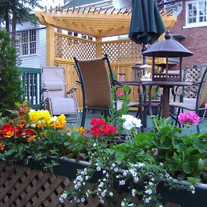 3* Bed & Breakfast B&B Le Transit